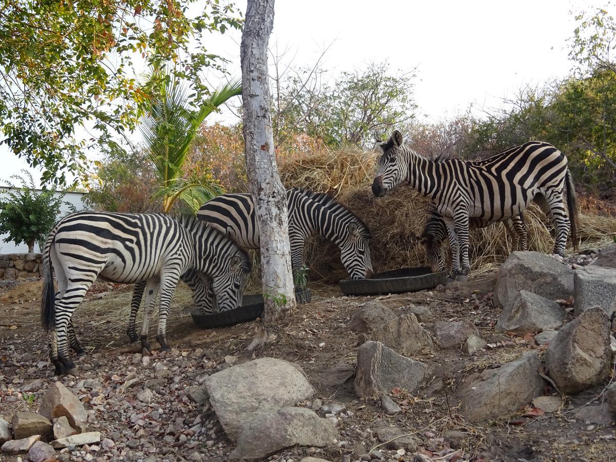 Lake Kariba Inns 시아본가 외부 사진